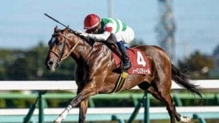 【エプソムC・馬体重】レーベンスティールは482kg(-4)、サイルーンは472kg(+2)