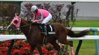 【三宮S結果】オメガギネスが断然人気に応え7馬身差V