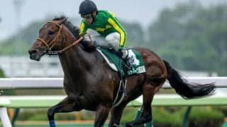 【函館SS結果】サトノレーヴが抜け出し快勝 連勝で重賞初制覇