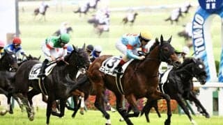 【東京12R】良血ニュージーズが快勝…ミッキークイーン半弟