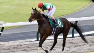 【エプソムC】ルメール「楽に抜けることが出来ました」レーベンスティールが重賞2勝目