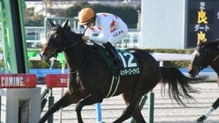 京都で牝馬重賞マーメイドSと川崎で関東オークス/今週の競馬界の見どころ