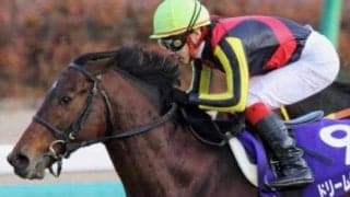 \"ドリームレース\"に強かった一頭も 6月10日「夢の日」ちなみ夢にまつわる馬たち