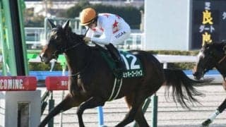 【マーメイドS見どころ】前走の経験が糧となるミッキーゴージャス