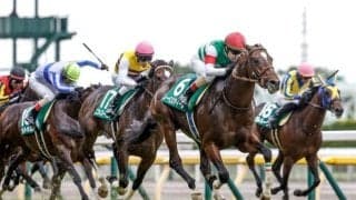 【エプソムC】売上は68億9627万8400円で昨年より約4.5億円減少