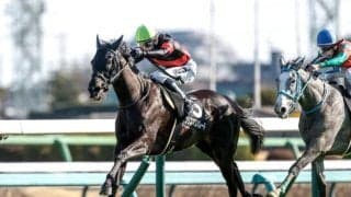 【川崎・関東オークス枠順】初ダートのクリスマスパレードは7枠9番