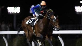 【川崎スパーキングスプリント枠順】トライアルを制したサンダーゼウスは7枠10番