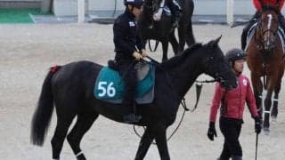 12年2歳女王ローブティサージュの仔 ラトラースが日曜京都で初陣/関西馬メイクデビュー情報