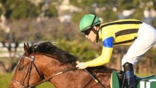 【先週のJRA抹消馬】チャレンジC連覇のソーヴァリアント、億超えホースのダノントルネードなど