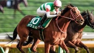 【AI予想・マーメイドS】ハンデの恩恵が見込める馬が狙い目！ 前走の敗因明確で変わり身に期待したい本命候補とは