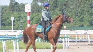 近親に重賞活躍馬が多数 ドゥカートが土曜東京で初陣/関東馬メイクデビュー情報