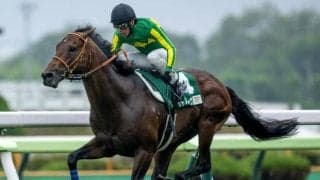 連対率34.4％を誇る驚異的なニックス 函館SS覇者は短距離王者を掛け合わせた“近年最高”の配合