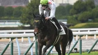 【マーメイドS想定騎手】ミッキーゴージャスは浜中俊騎手、コスタボニータは岩田望来騎手