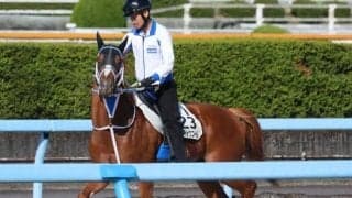 セラフィックコールなど、先週の入厩情報/栗東トレセンニュース