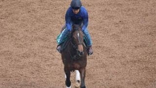 コンテナラインなど、先週のゲート試験/栗東トレセンニュース