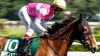 マーメイドSで5年ぶり重賞制覇を狙う若武者 コンビ3戦目で一発狙う