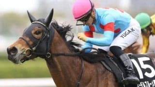 【マーメイドS予想オッズ】エーデルブルーメが予想1番人気