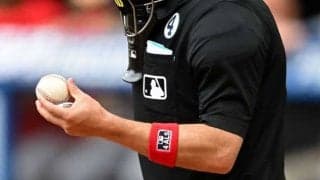 2.4万人が“知っていた”誤審「審判が醜すぎる」　打球音もパスボール「恥ずかしい」