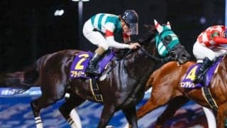 【川崎・川崎スパーキングスプリント結果】プライルードが差し切って重賞3勝目を挙げる