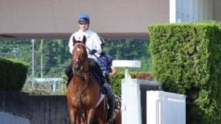 ドウデュース、宝塚記念1週前追い切り速報/栗東トレセンニュース