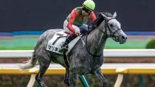 マーメイドSはステイゴールド系の十八番 今年もゴールドシップ産駒が“荒れる重賞”を演出するか