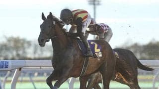 21年JBC2歳優駿覇者のアイスジャイアント抹消 今後は千葉県で乗馬に