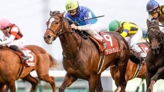 21年AJCC覇者アリストテレスが登録抹消 今後は阪神競馬場で乗馬に