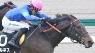 レース史上初の記録へ 仏G1馬ロペデヴェガ産駒が4連勝でマーメイドS制覇なるか