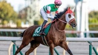 【マーメイドS予想】今回はいかにも狙い頃 波乱傾向の一戦でAIが好評価を下した馬とは？