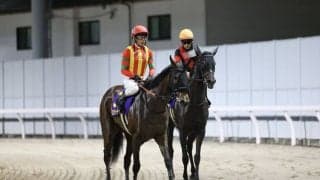 【関東オークス】戸崎「こんなに負ける馬ではない」イゾラフェリーチェは8着敗退