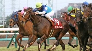 アリストテレスの競走馬登録抹消…AJCCを勝利