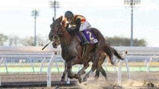 アイスジャイアントの競走馬登録抹消…JBC2歳優駿V