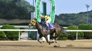 【グランダムジャパン3歳シーズン】高知グラインドアウトが優勝…関東オークスで3着