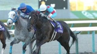 2歳女王ローブティサージュの仔  中内田厩舎×川田騎手の黄金タッグでデビューV狙う