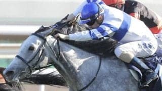 母は東京芝1600レコードのGI覇者 超良血馬がルメール騎手とデビューVへ