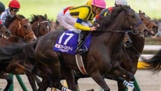 半姉に牝馬二冠スターズオンアースを持つ1億4000万円馬 福永祐一厩舎に新馬戦初勝利を届けるか