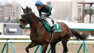 19年函館SS覇者カイザーメランジェが登録抹消 今後は地方競馬へ移籍