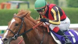 ファン投票1位は現在3連勝中と好走傾向 過去唯一本番で2桁着順だった馬とは？