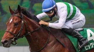 マーメイドSはハンデ別の成績に傾向あり？ イメージとは違う!? 過去10年の意外な結果とは