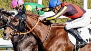 秋の大舞台へ飛躍を遂げるか 皐月賞馬ジオグリフの半妹が連勝狙う