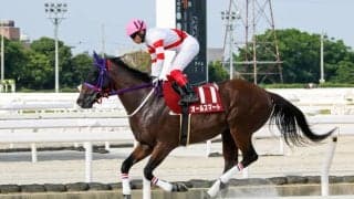 【園田FCスプリント】オールスマートが3馬身差完勝…山下「いつも通りの競馬」