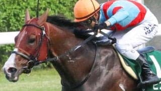 大きな魅力は“函館巧者”の血 ドゥアムールがデビューV狙う