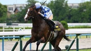 【米子S結果】4番人気トゥードジボンが逃げ切り勝ち