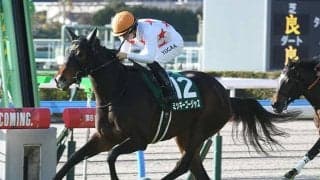 【マーメイドS予想】人気薄が頻繁に激走する難解な一戦！ 波乱の要因は前走のクラスと着順にあり