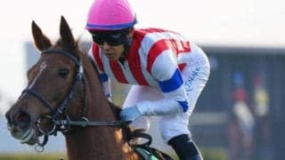 京都芝は高速決着 持ち時計のあるピンハイに要注意