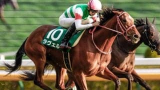 【今日の注目ポイント】京都で牝馬によるハンデ重賞マーメイドS