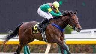 【マーメイドS予想】今年は京都2000mが舞台 波乱も多い牝馬ハンデ戦を制すのは？