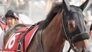 22年京都新聞杯覇者がダート初挑戦 1年4カ月ぶりの実戦で復活Vなるか