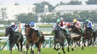 【マーメイドS予想】京都開催でも軽量タイプの人気薄は走る？ 過去データから探るGIIIマーメイドS