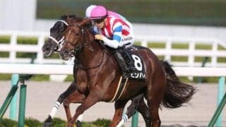 マーメイドS当日の京都芝は内＆前有利 ピンハイ＆ホールネスに注目